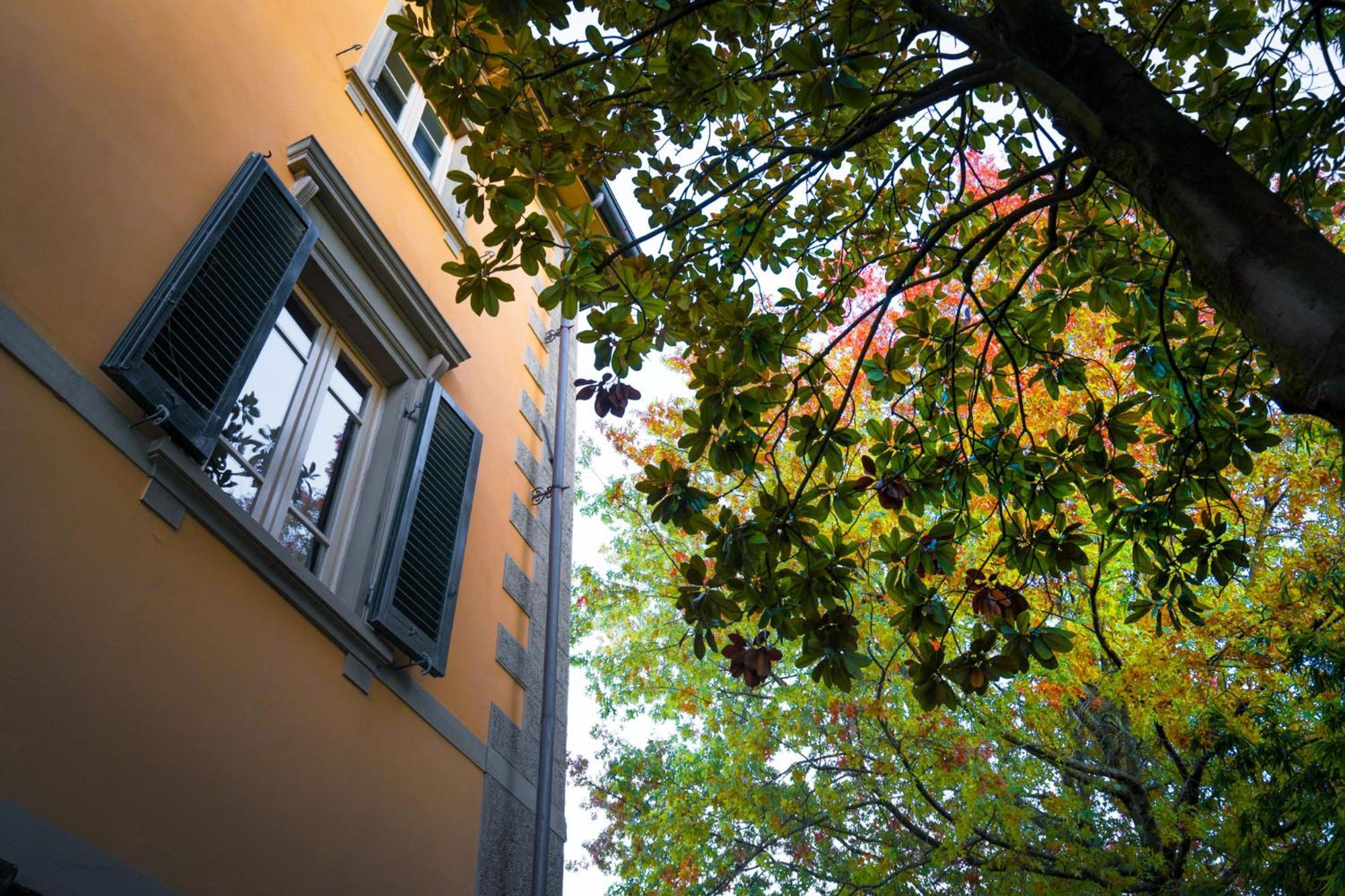 Villa Ines Charme Near Lucca Altopascio Eksteriør billede